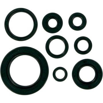 Motor Simmerring Satz Honda CR 250 1992-2001